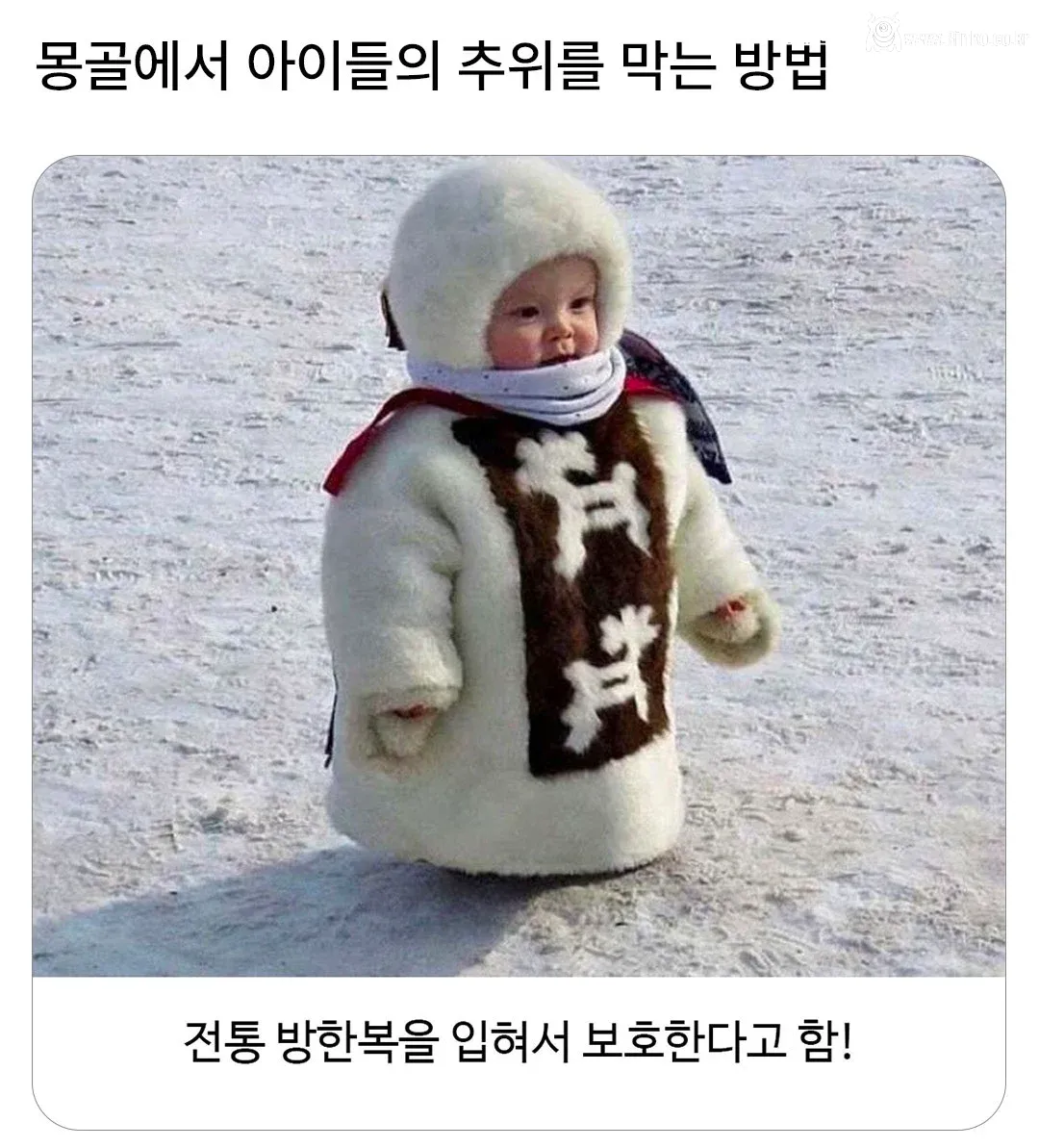 몽골에서 아이들의 추위를 막는 방법