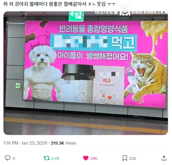 늙었다는 것은, 살아 남았다는 것, 살아 남았다는 것은