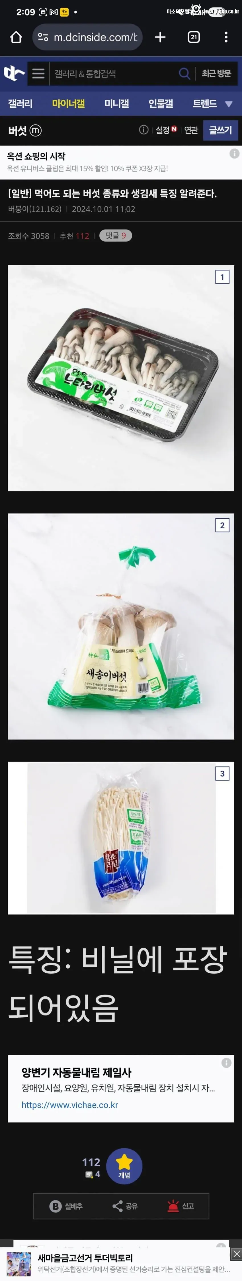 버섯 전문가가 알려주는 식용 버섯 특징