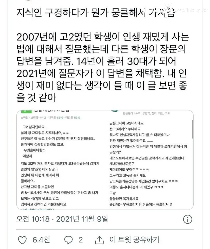 14년이 지나서야 채택 된 네이버 지식인 답변