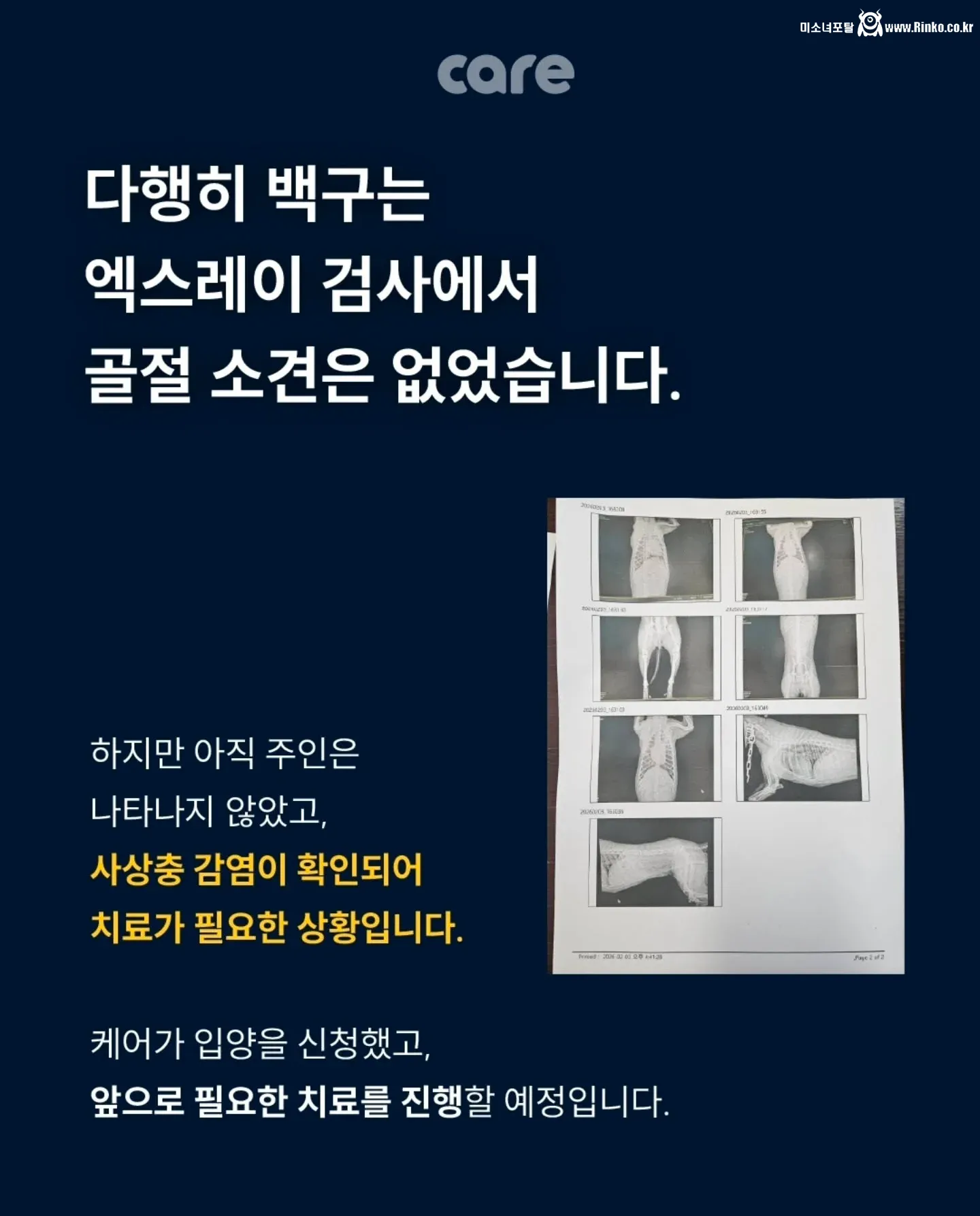 쉐보레 스파크 범퍼에 꼈던 백구 근황
