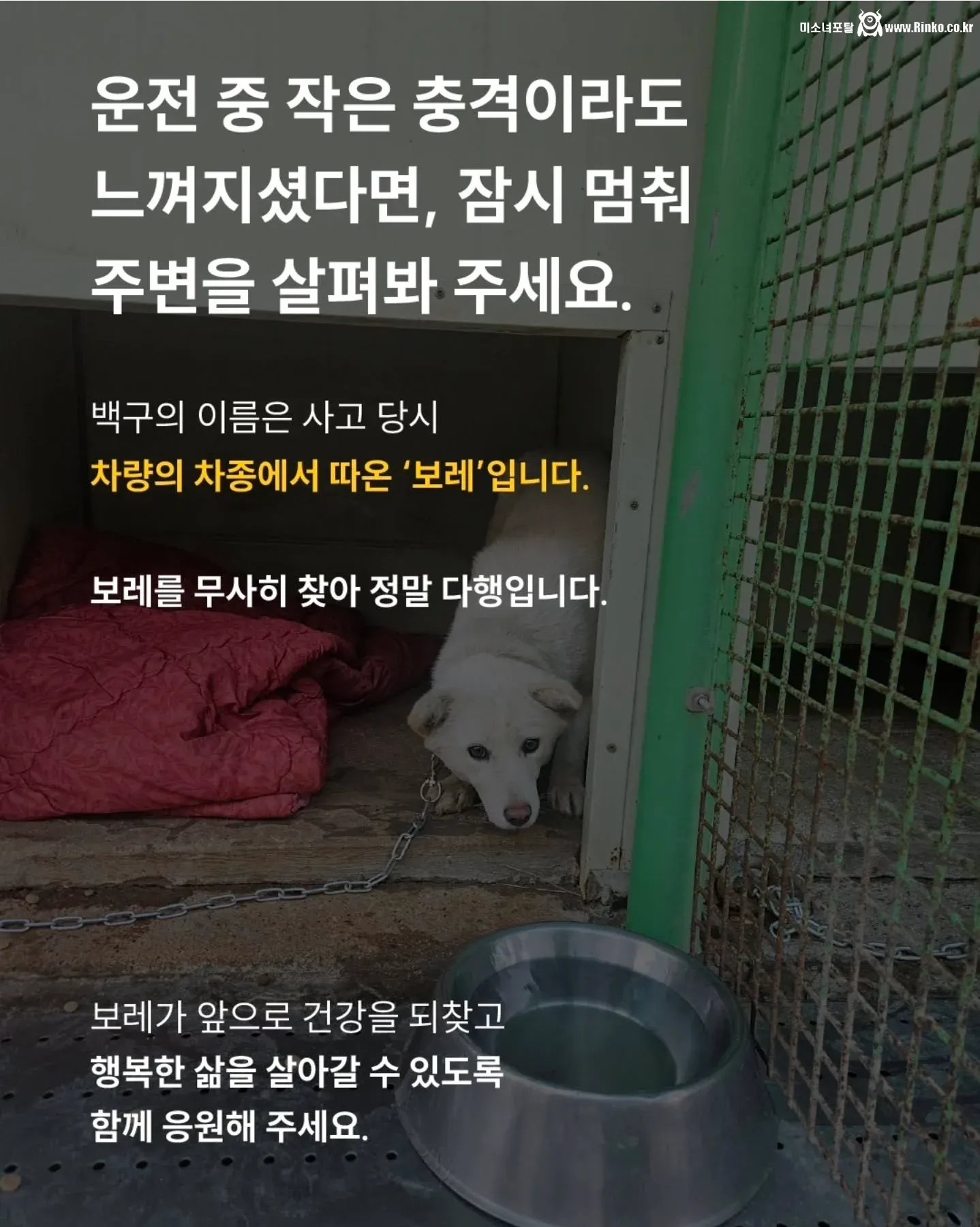 쉐보레 스파크 범퍼에 꼈던 백구 근황