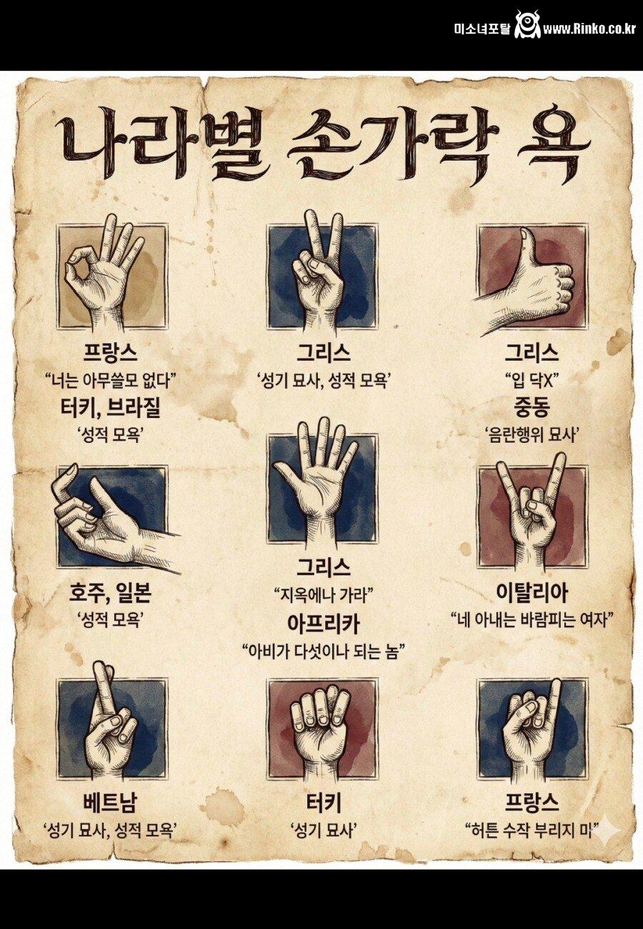 형제국 튀르키예 손가락 욕