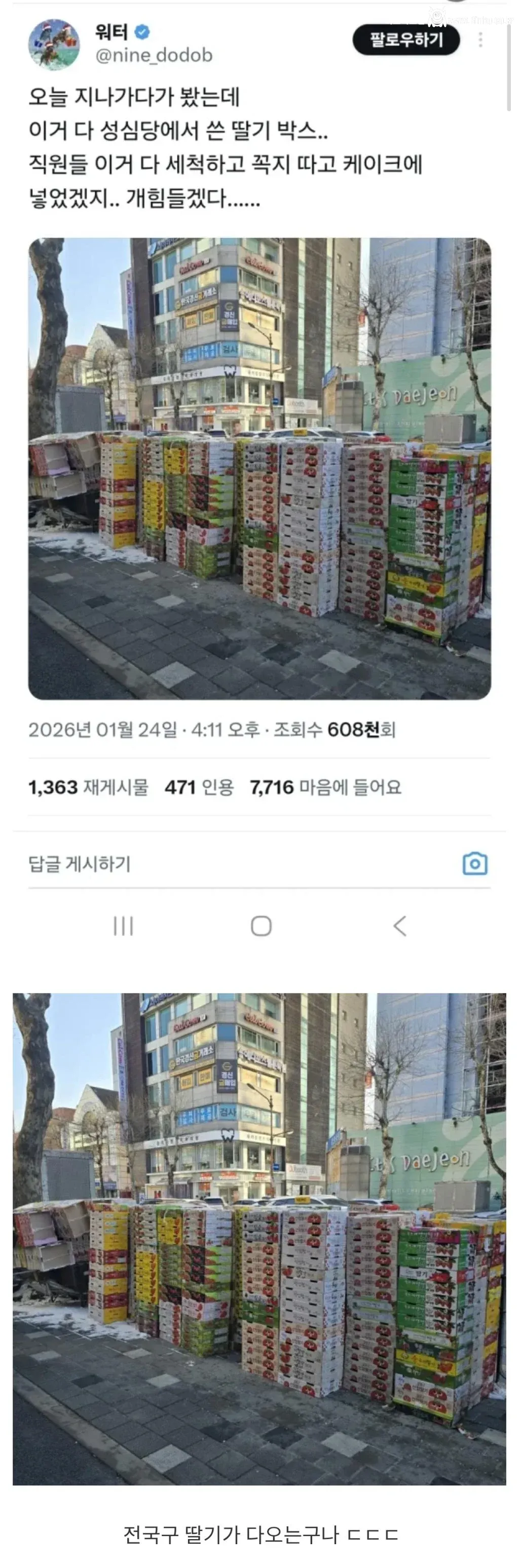 성심당 딸기 하루 사용량