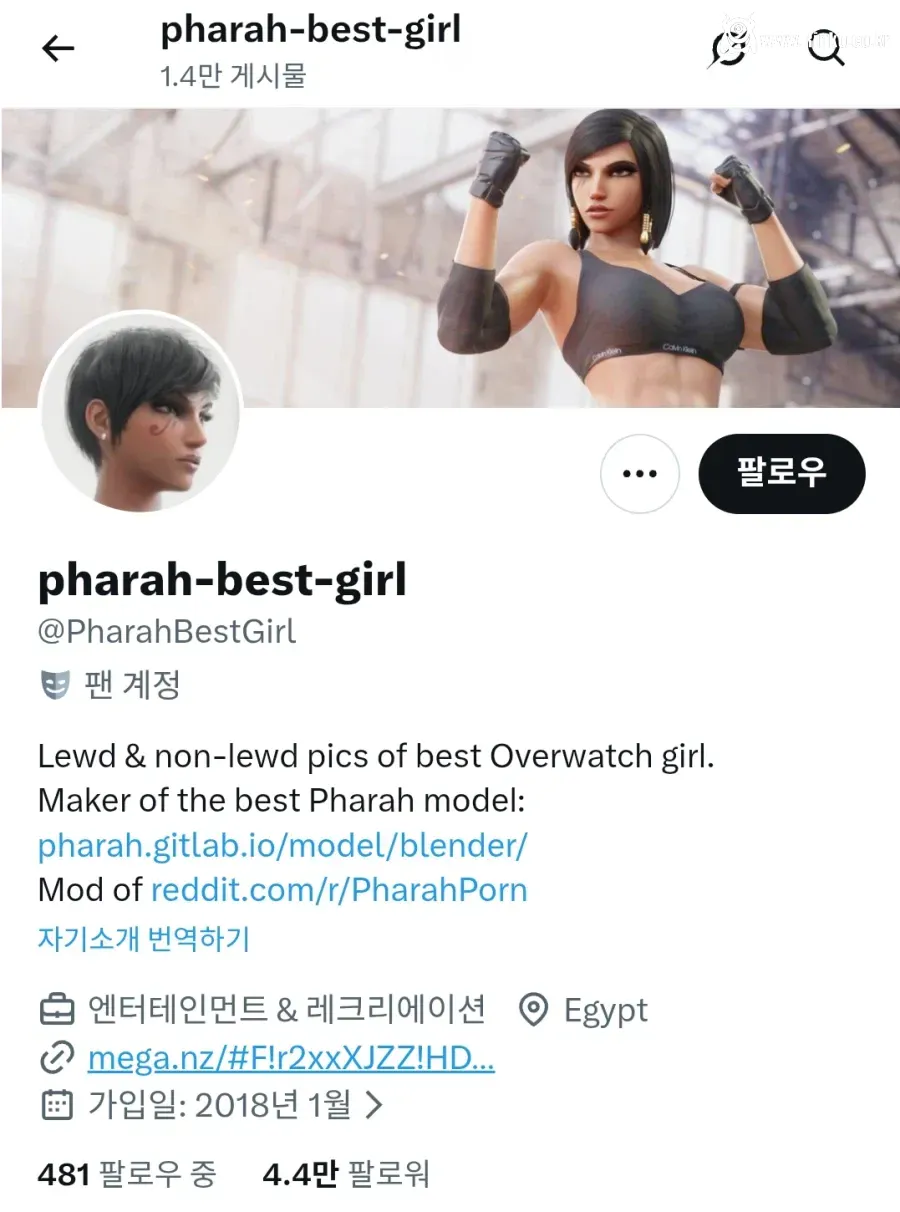 오버워치 파라 3D 2차 창작이 많은 이유