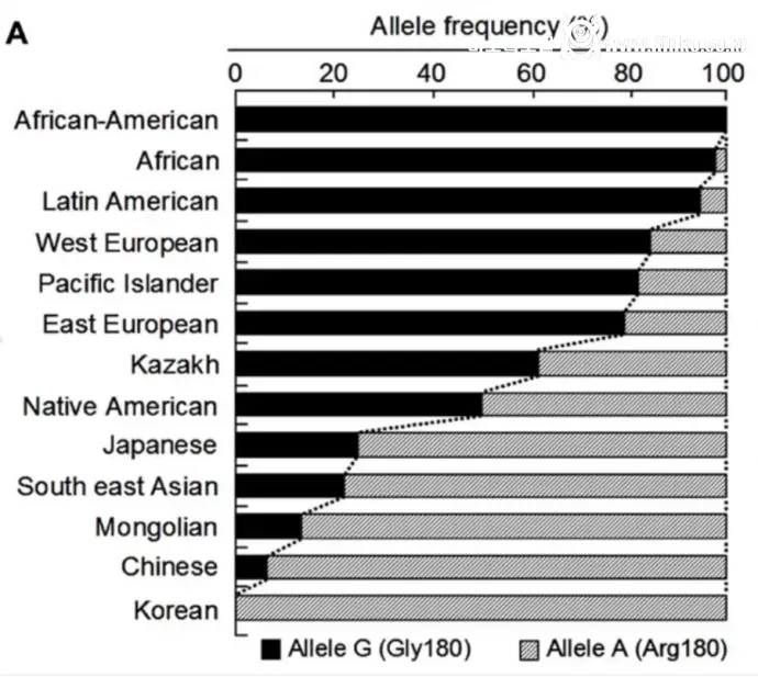 유럽인들 암내에 충격받은 칠레 관광객