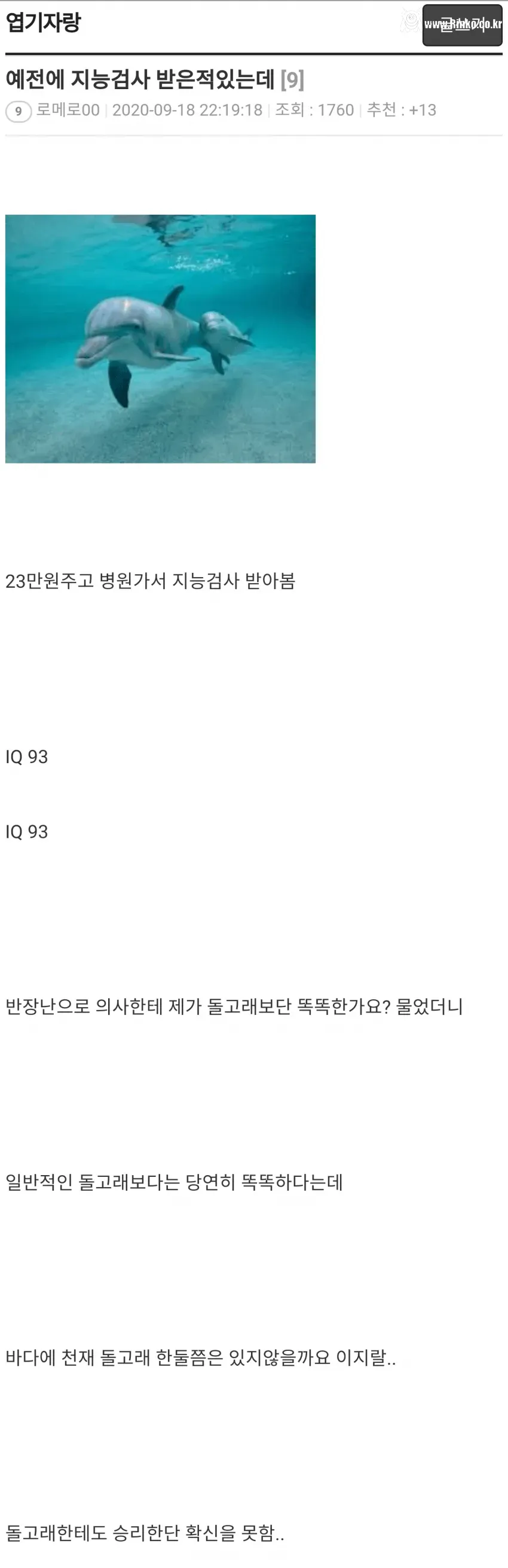 돌고래와의 지능배틀에서도 승리확신이 힘든 사람