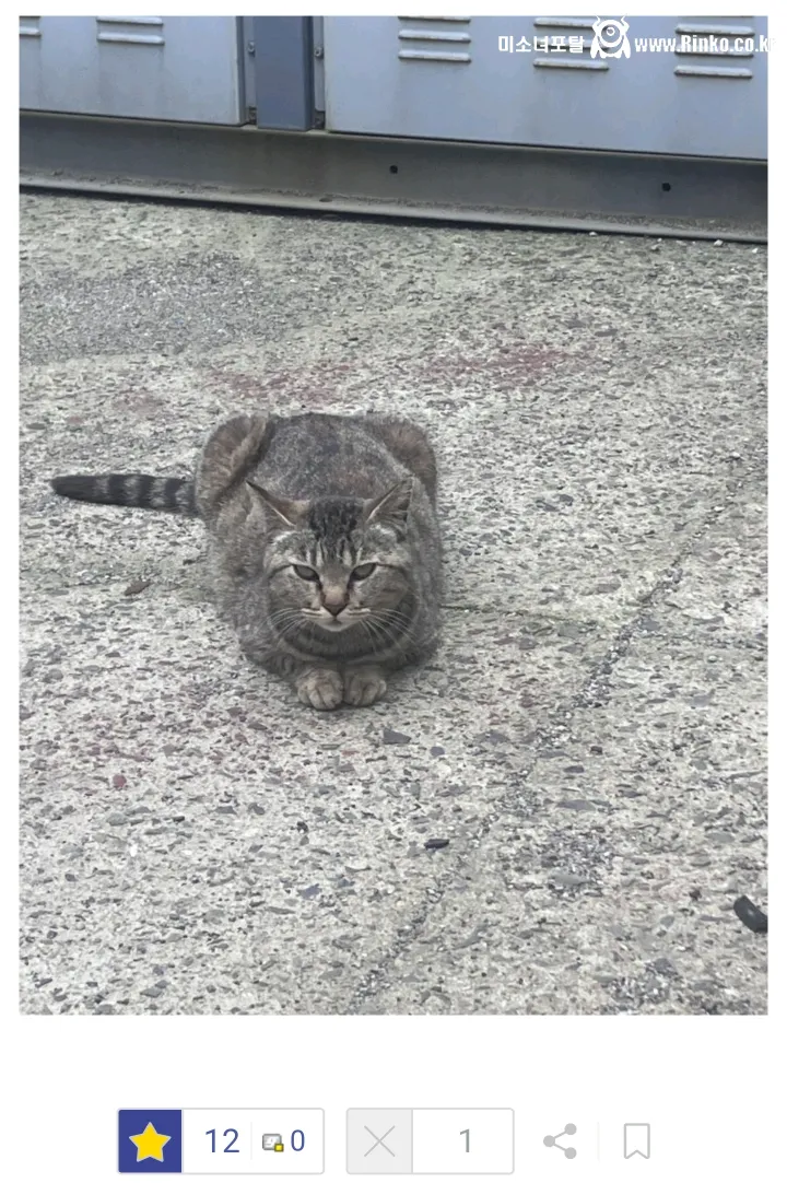 대기업 다니다가 연봉 깎아서 중소로 이직했는데 현타옴