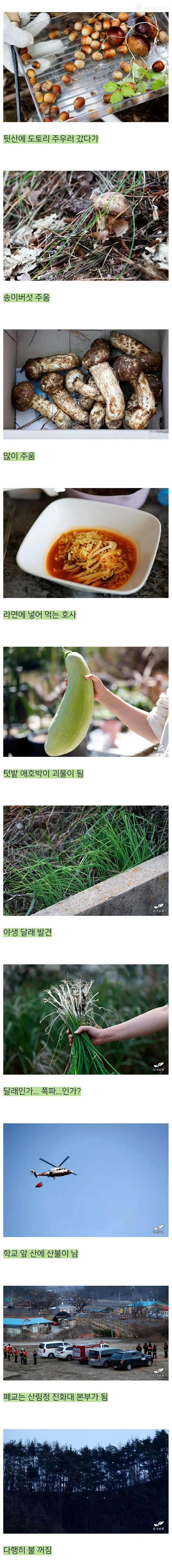 어느 블로거가 시골 폐교를 5년간 빌린 결과물