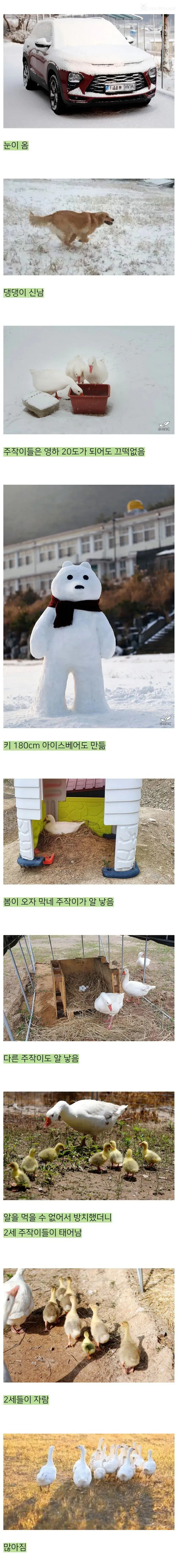 어느 블로거가 시골 폐교를 5년간 빌린 결과물