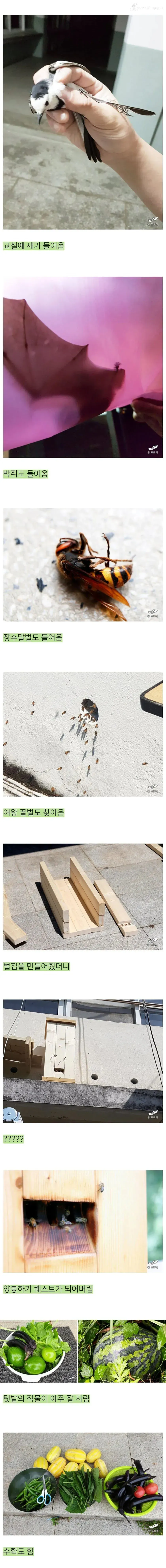 어느 블로거가 시골 폐교를 5년간 빌린 결과물