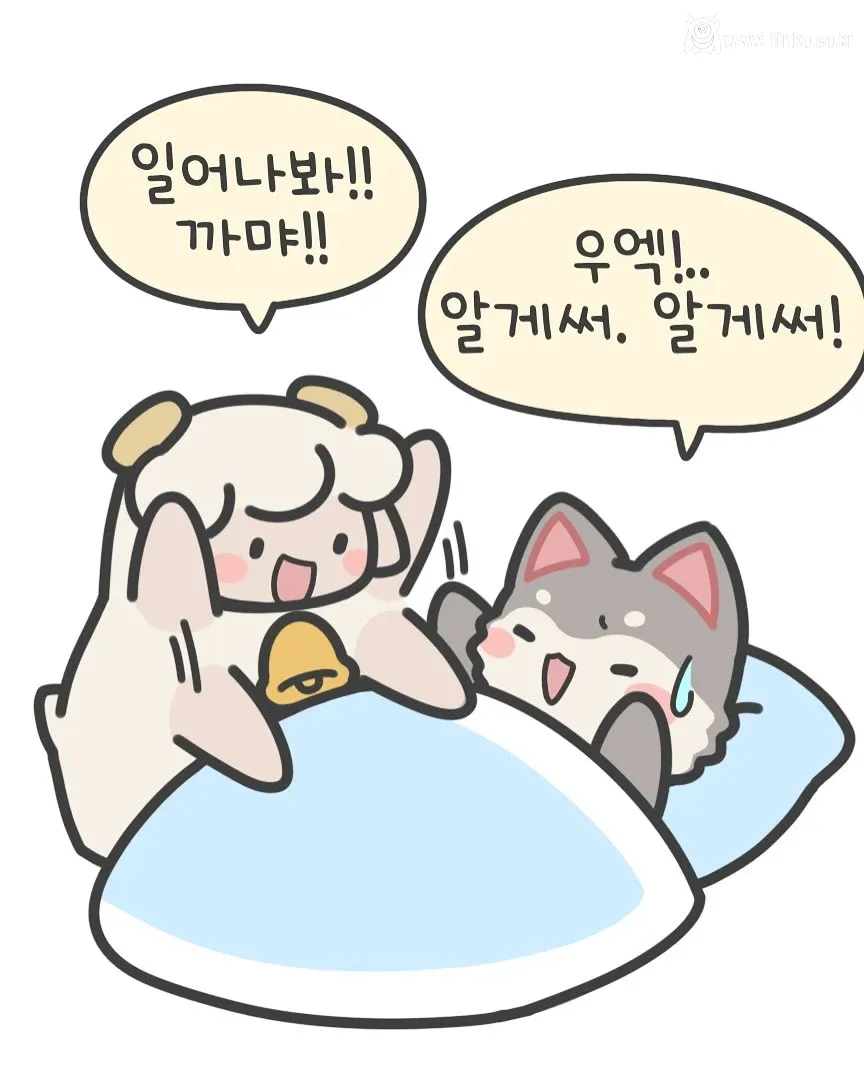 다이어트 한다고 저녁 안먹는다는 여친