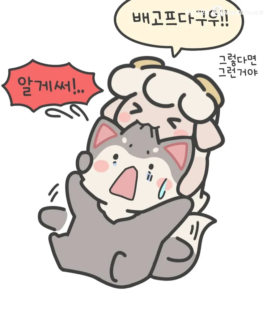 다이어트 한다고 저녁 안먹는다는 여친