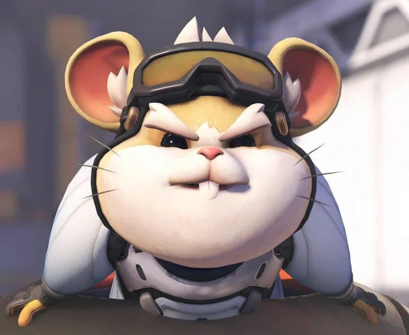 "나는 고양이 죽이기 싫어"