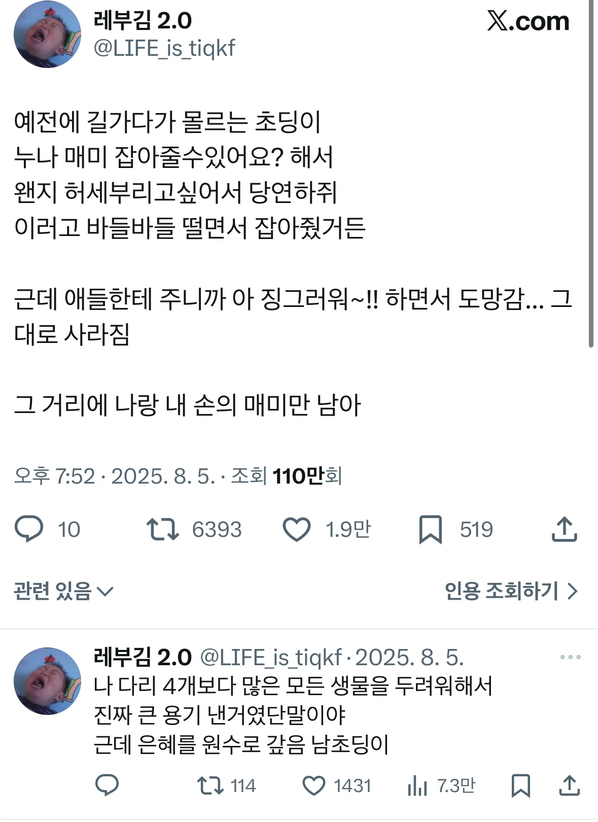 길 가는데 초딩이 매미를 잡아달라고 했다