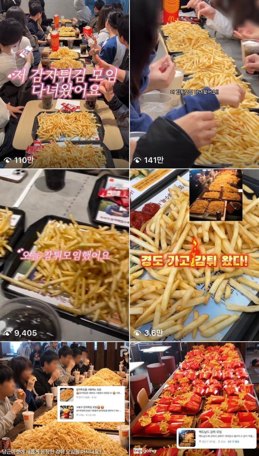 최근 경도보다 인기라는 감튀 모임