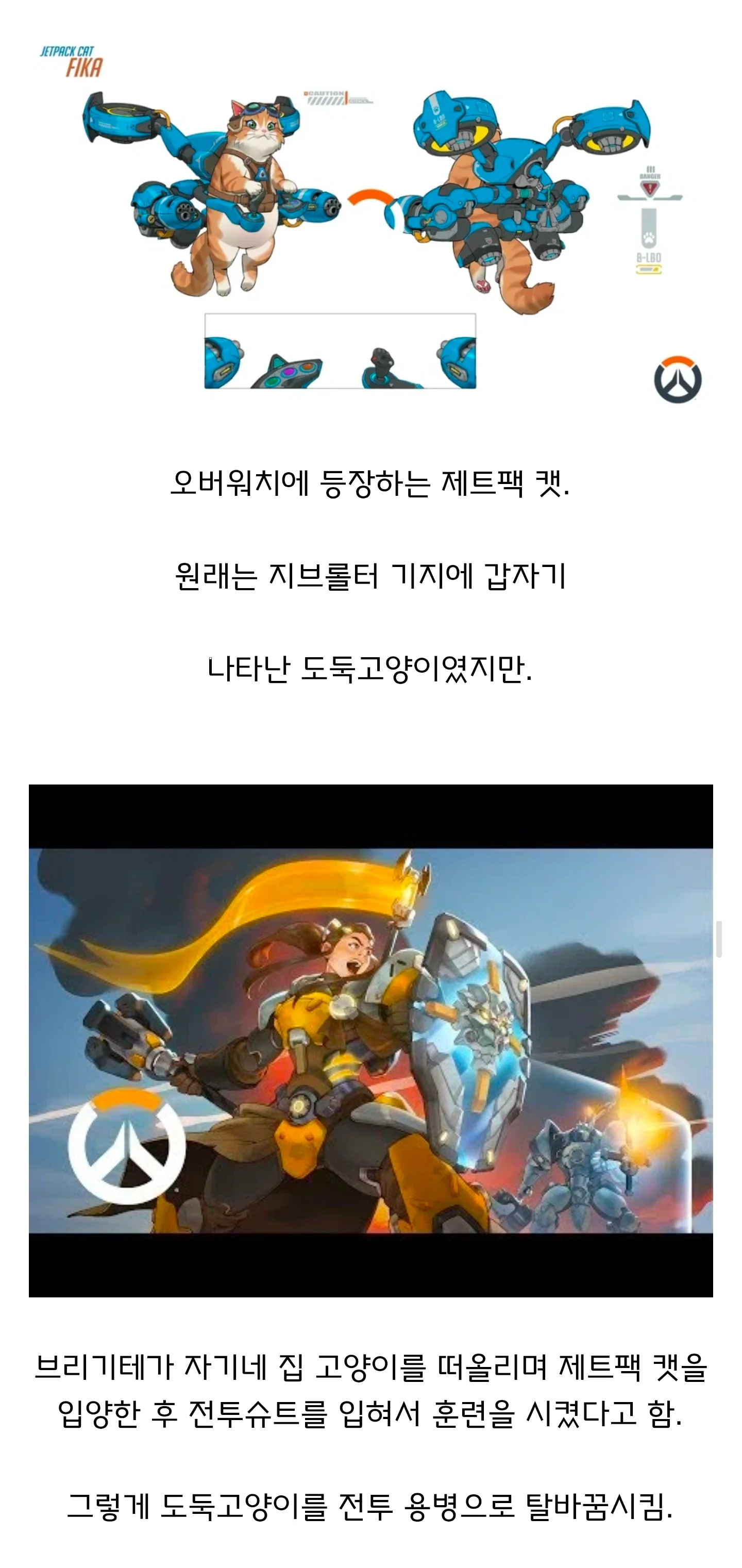 정신나간 2070년대식 캣맘
