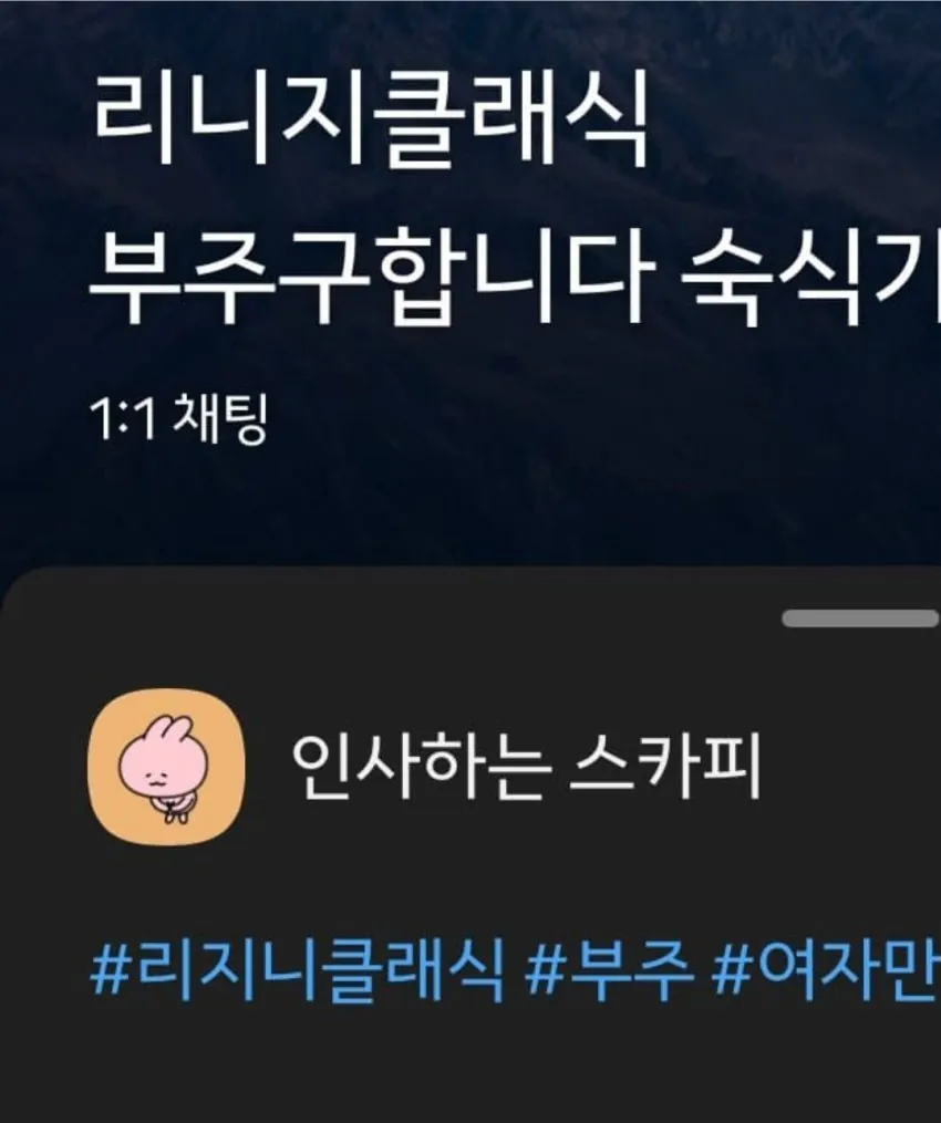 부주구한다는 영피프티 린저씨 근황