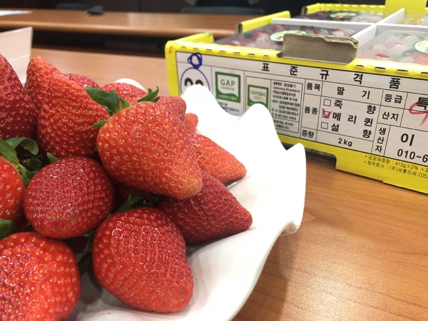 요즘 진짜 퀄리티 미친거 같은 한국 딸기 품종들