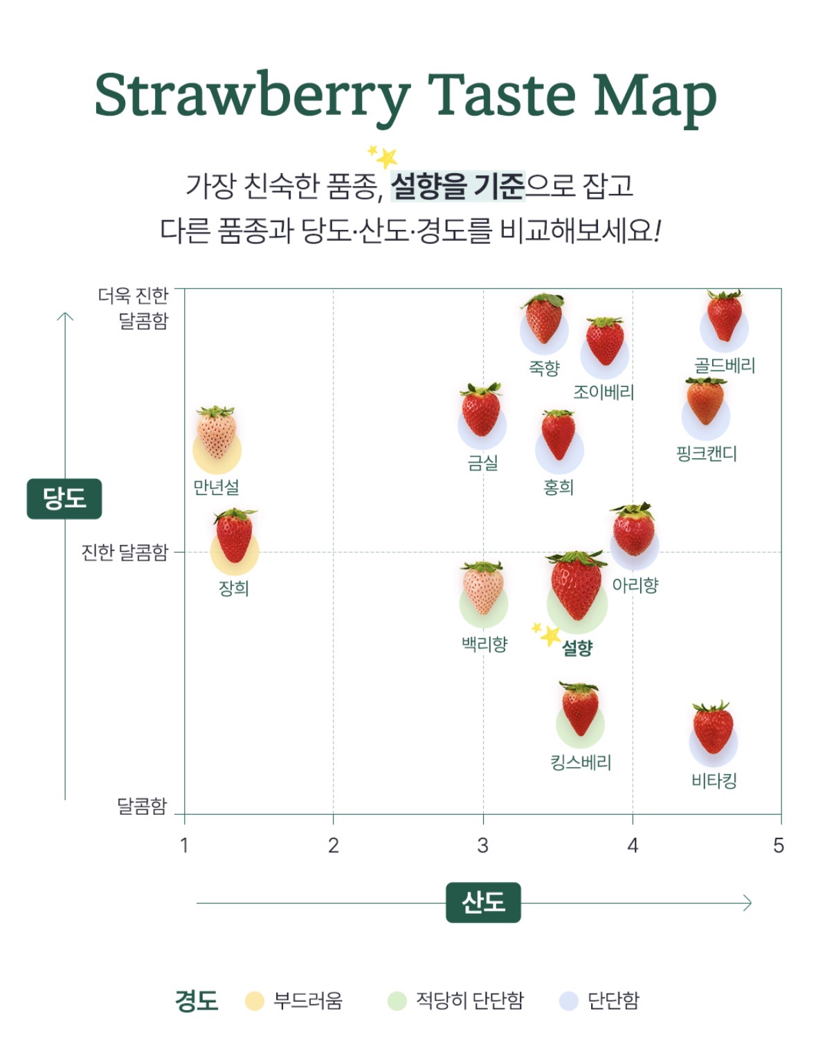 요즘 진짜 퀄리티 미친거 같은 한국 딸기 품종들