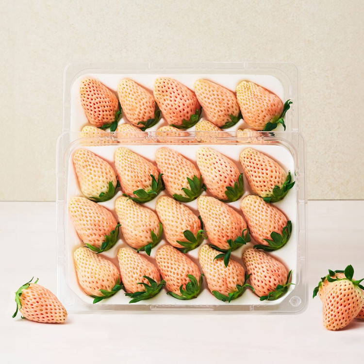 요즘 진짜 퀄리티 미친거 같은 한국 딸기 품종들