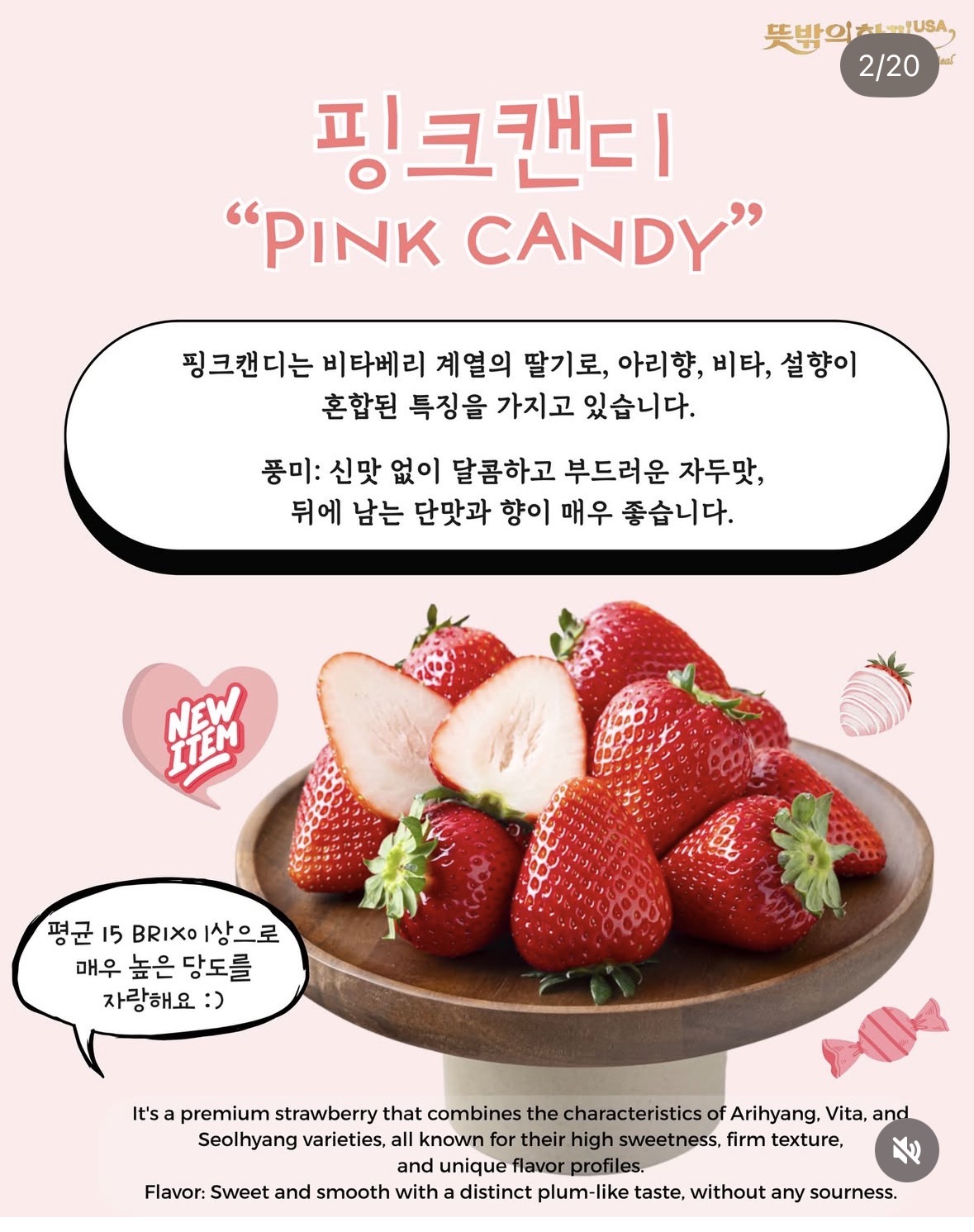 요즘 진짜 퀄리티 미친거 같은 한국 딸기 품종들