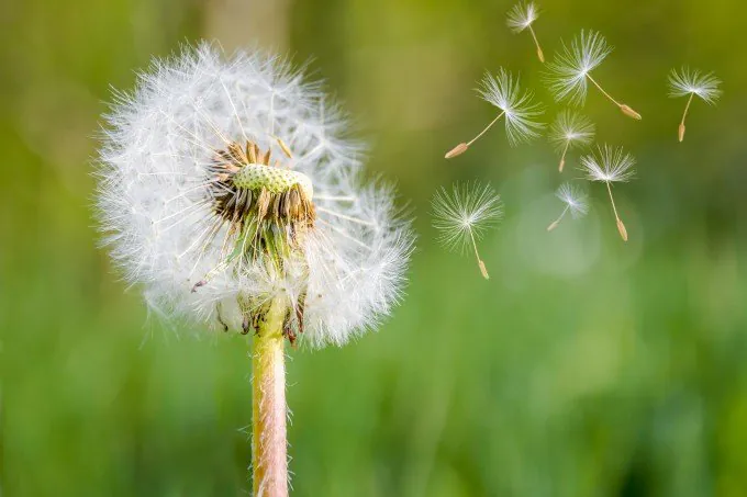인간DNA를 우주로 보내 테라포밍하는 것이 최선