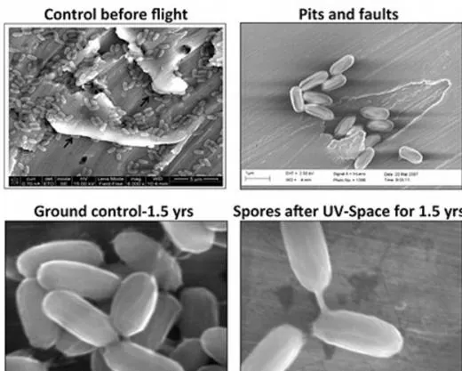 인간DNA를 우주로 보내 테라포밍하는 것이 최선