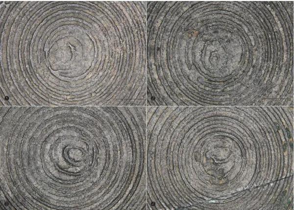 고대 한국이 미친놈들인 이유