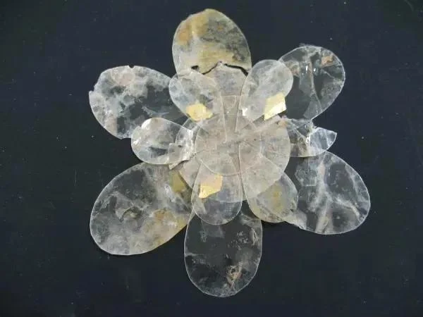 고대 한국이 미친놈들인 이유