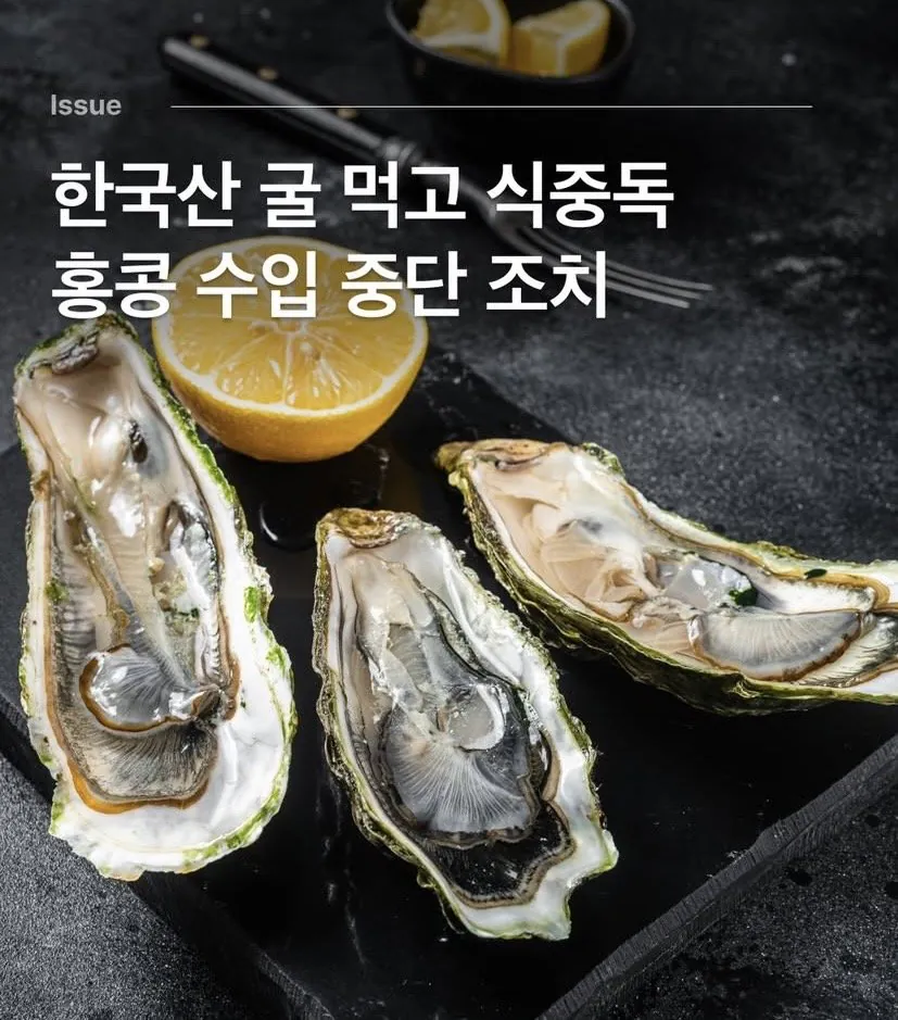 한국산 굴먹고 홍콩인들 집단 식중독