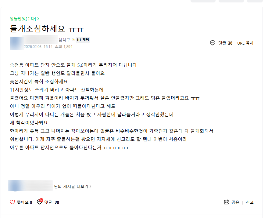 심각해 보이는 전주 송천동 들개무리들 ㄷㄷ