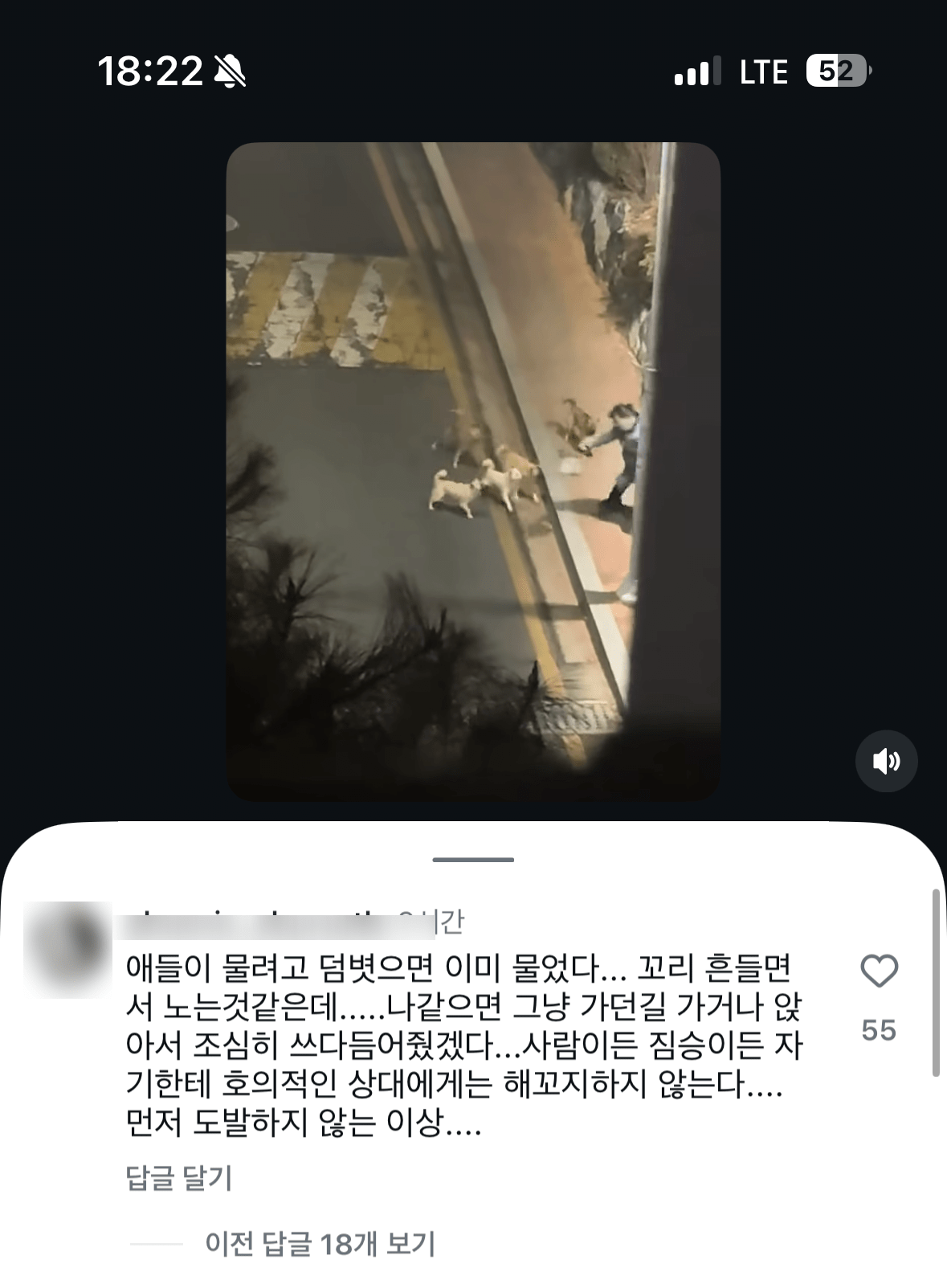 심각해 보이는 전주 송천동 들개무리들 ㄷㄷ