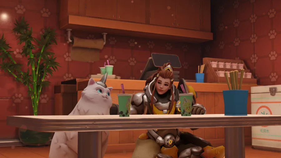 오버워치 신규 캐릭터 설정 논란