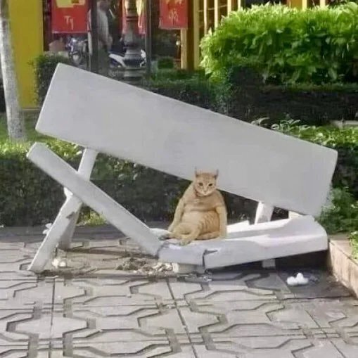 "의심이 가겠지만 내가 이런 거 아니다"