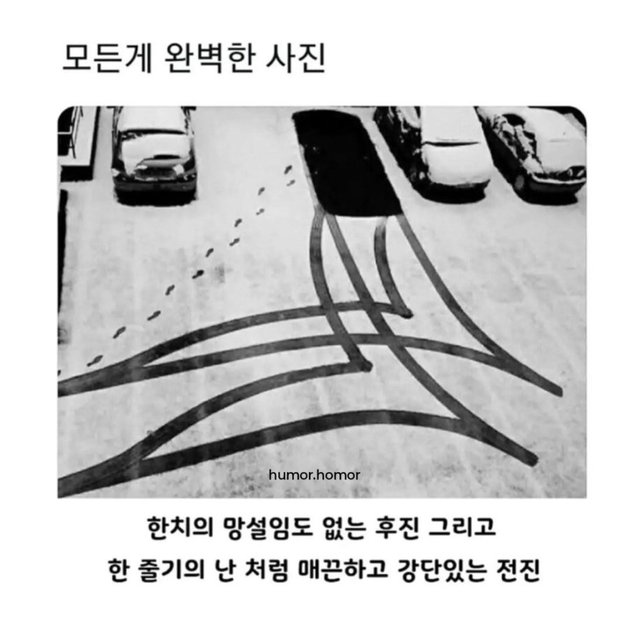 모든 게 완벽한 운전 솜씨