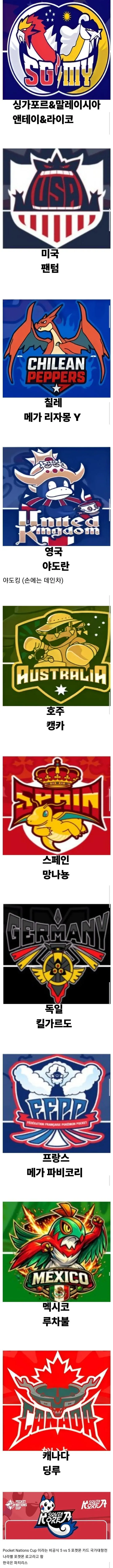 포켓몬 카드 국가 대항전 나라별 로고