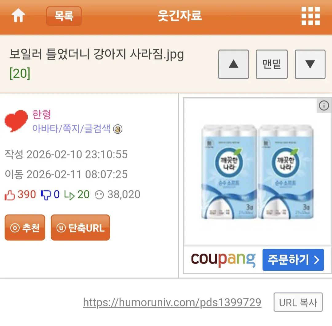 보일러 틀었더니 강아지 사라짐