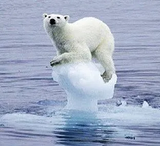 요즘 의외로 잘먹고 잘살고 있는 새끼들