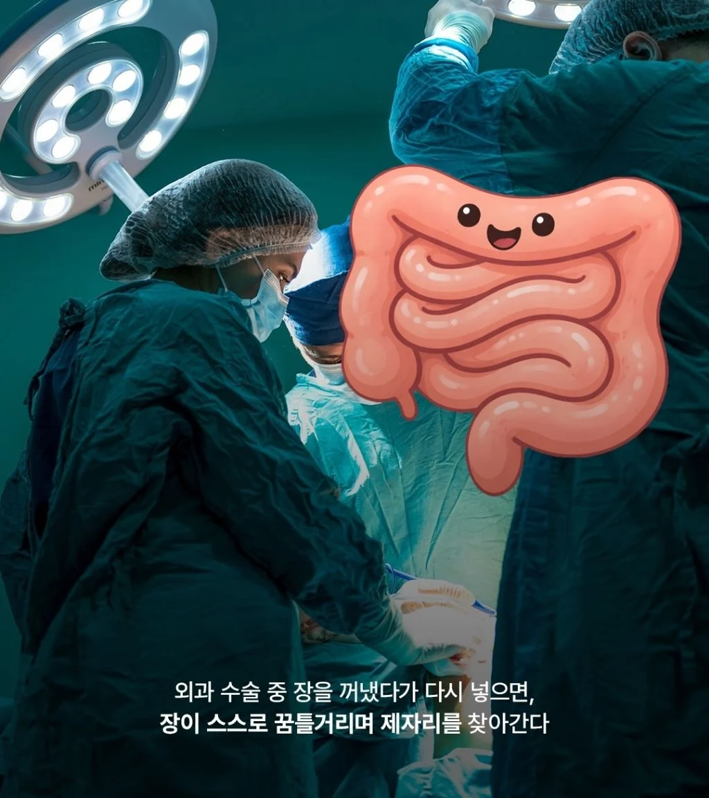 가짜같지만 진짜라는 의학적 사실들