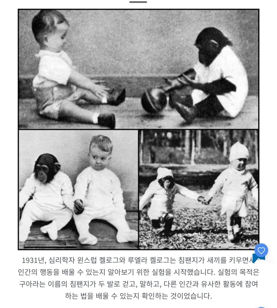 역대 가장 소름 끼치는 사진 81개