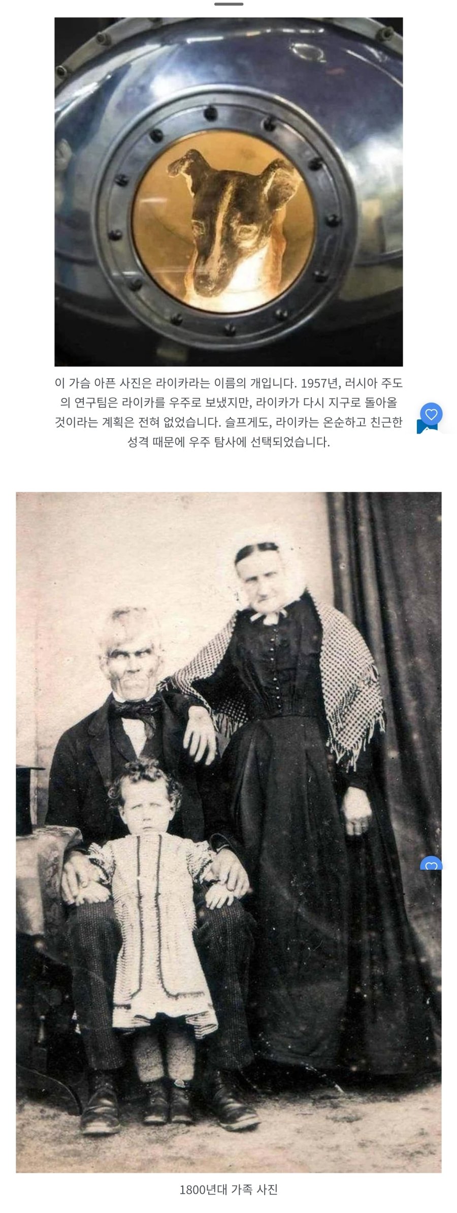 역대 가장 소름 끼치는 사진 81개