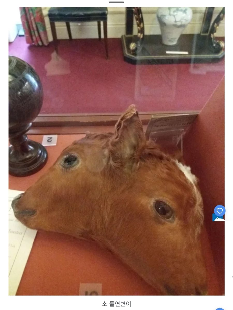 역대 가장 소름 끼치는 사진 81개