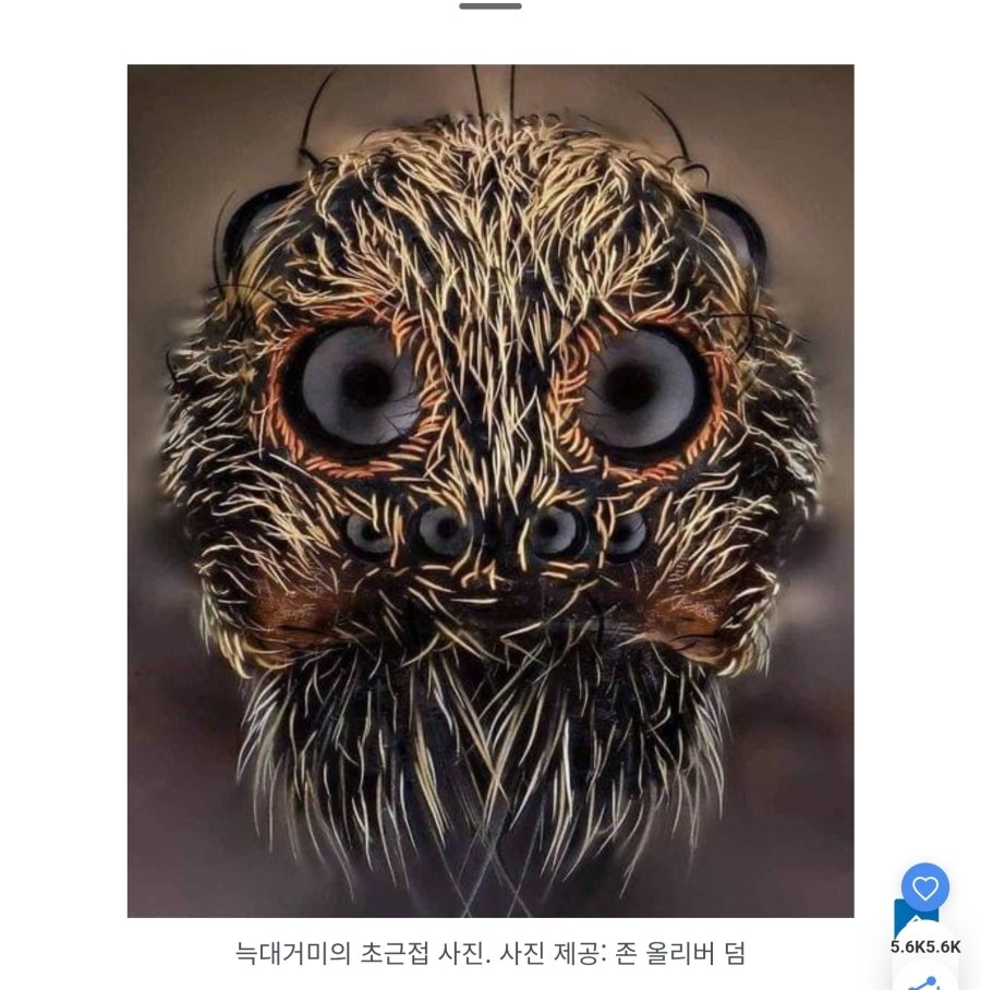 역대 가장 소름 끼치는 사진 81개