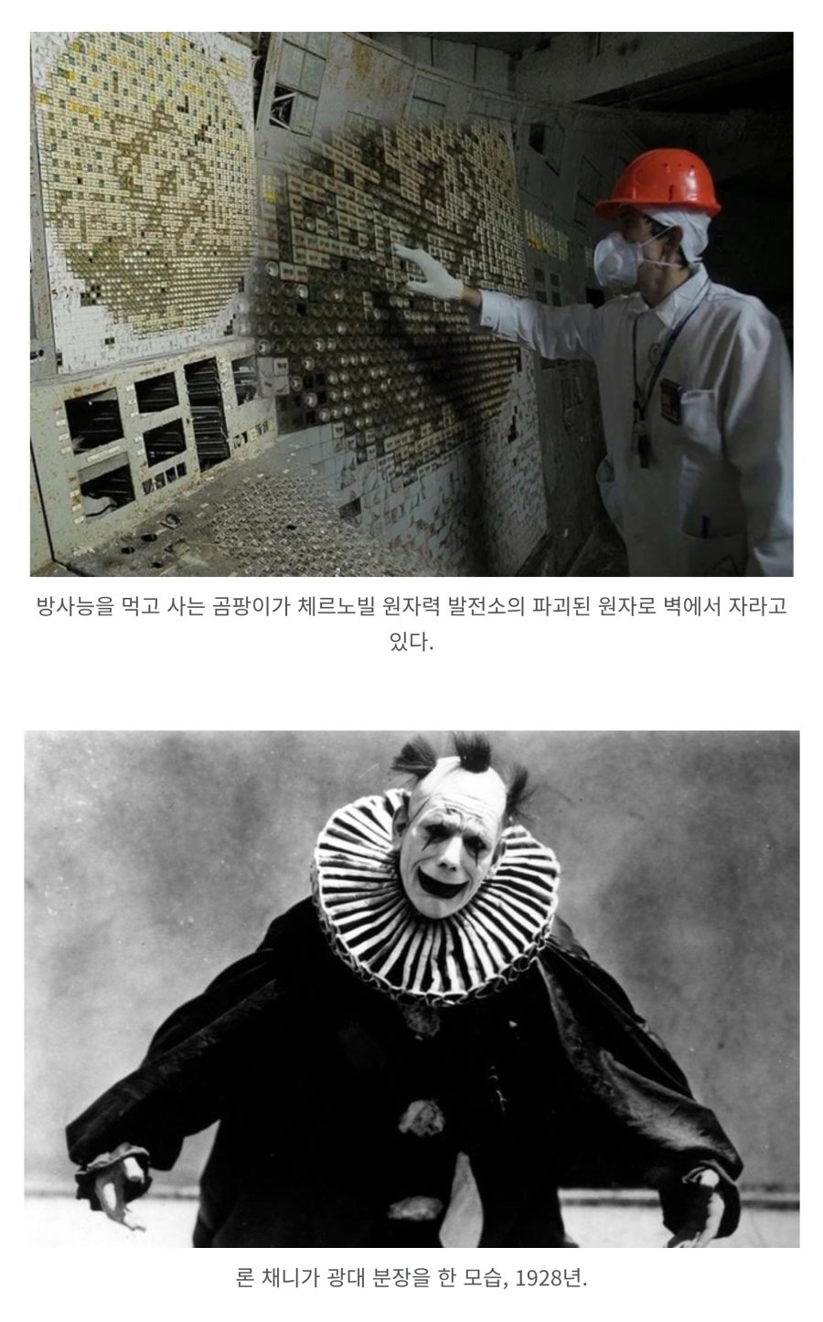 역대 가장 소름 끼치는 사진 81개