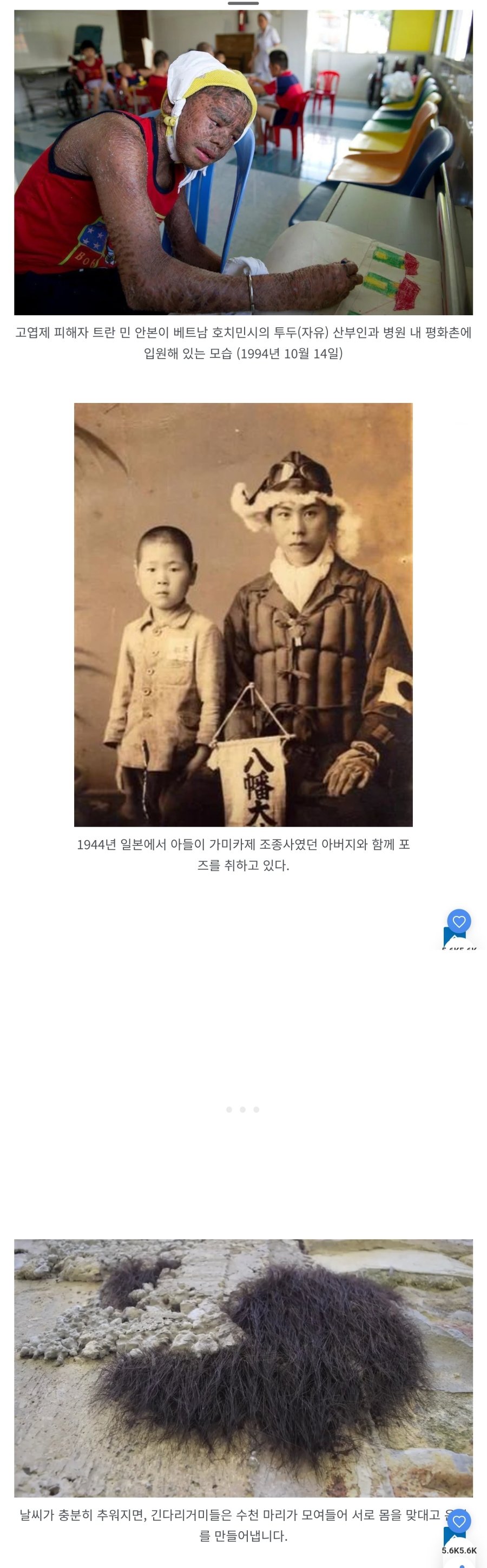 역대 가장 소름 끼치는 사진 81개
