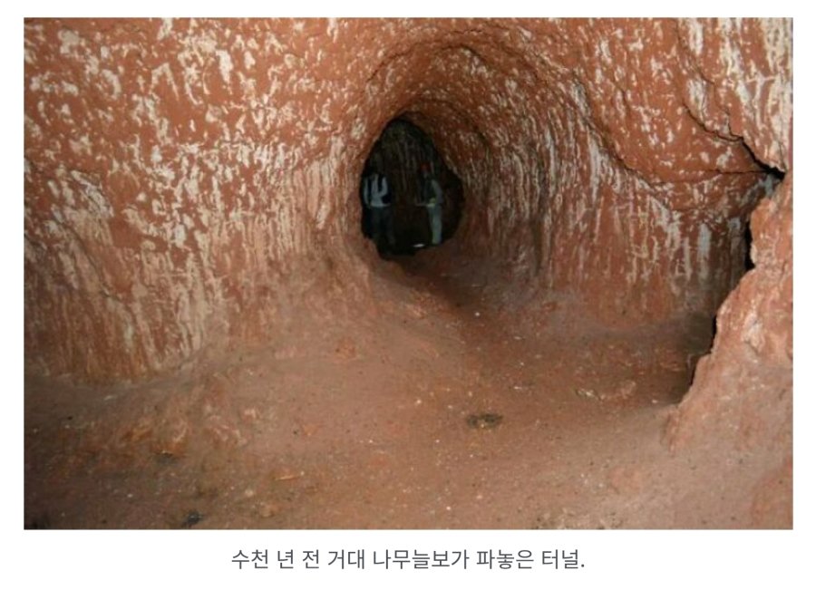 역대 가장 소름 끼치는 사진 81개