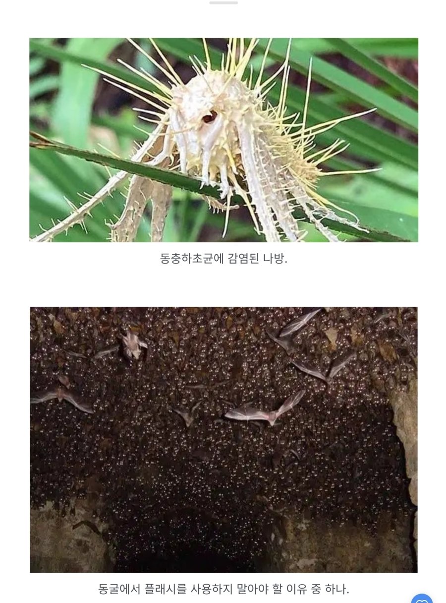 역대 가장 소름 끼치는 사진 81개