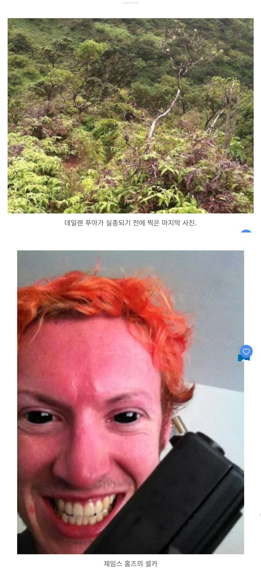 역대 가장 소름 끼치는 사진 81개