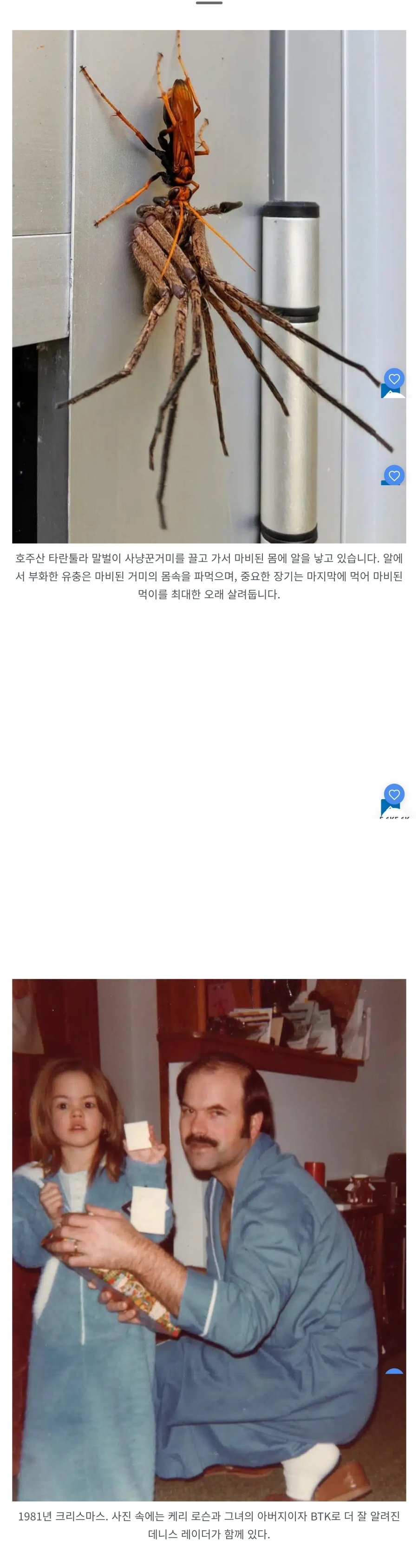 역대 가장 소름 끼치는 사진 81개
